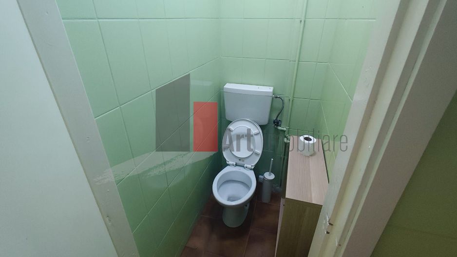 Spatiu comercial zona Aviatiei/Herastrau/Caramfil/Aurel Vlaicu - Poză 15