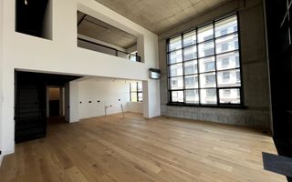 Brick Lofts Unitate pe 2 Niveluri nemobilata, Vedere Lac - Poză 3