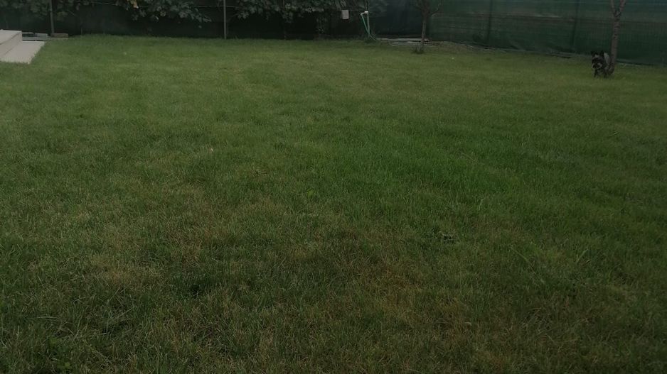 Casa cu garaj in Dumbravita - Poză 13