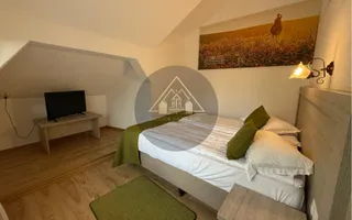 Afacere la cheie!Han, Pensiune, Restaurant, de vânzare Transilvania - Poză 21