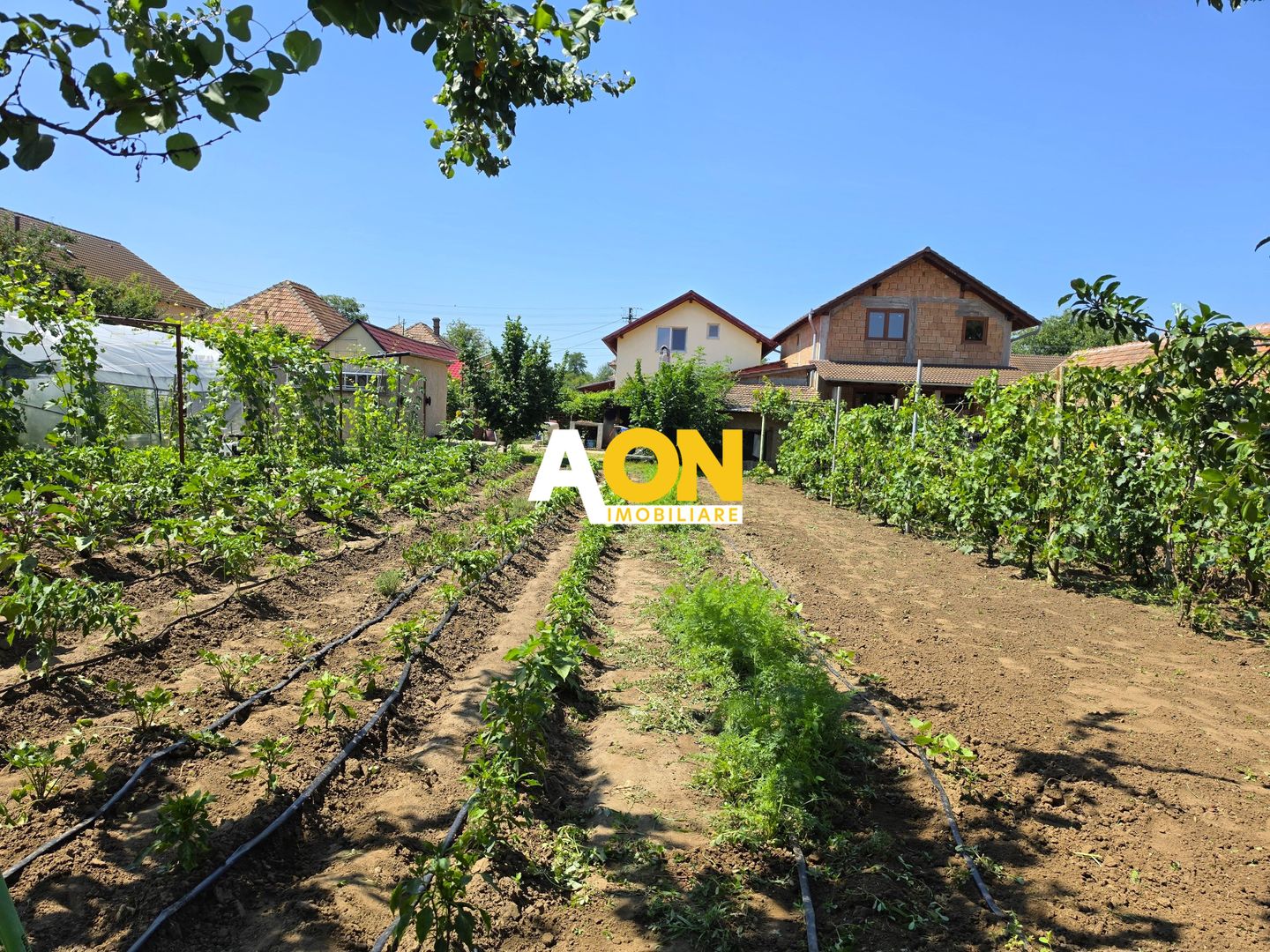 Casa 4 camere + anexe, 636 mp teren, la asfalt, Vințu de Jos - Poză 4