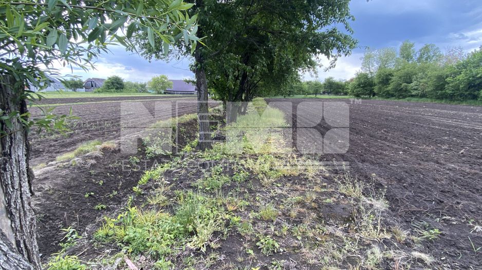 Teren Intravilan | 22 ARI | Horodnic De Jos - Poză 2