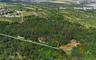 Teren de 37.5 ari în inima pădurii – Oportunitate unică de investiție lângă Crama Mileștii Mici! - Poză 1