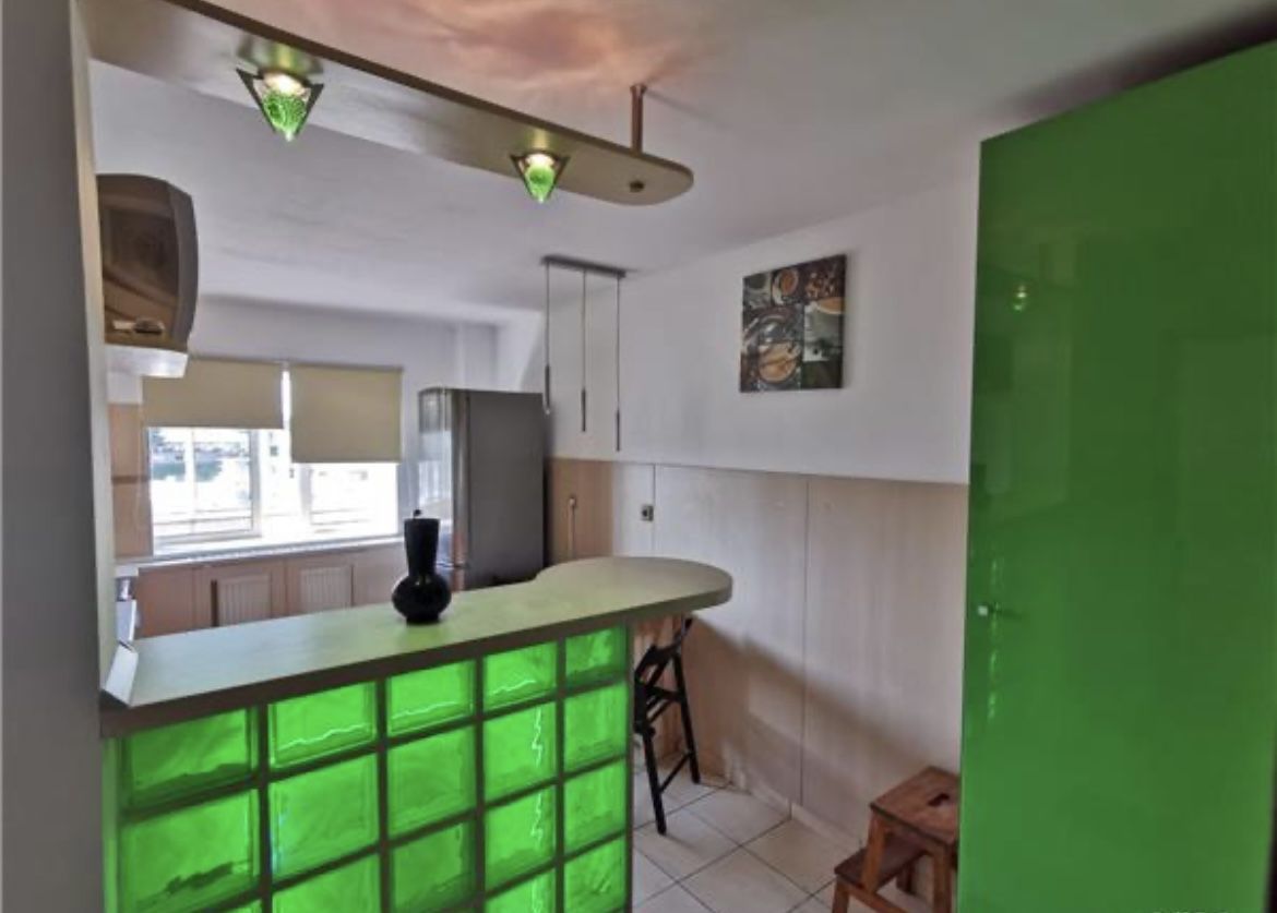 APARTAMENT BANU MANTA | BASARAB - Poză 6