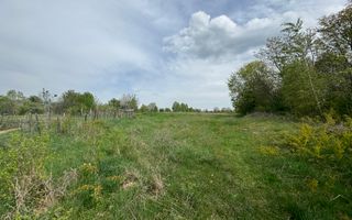 TEREN INTRAVILAN, 7472 MP, VALEA MARE PRAVAT, ARGES - Poză 6