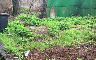 Sanctuar de Epocă: Reședință Grandioasă cu 10 Camere, Turn și Grădină - Poză 20