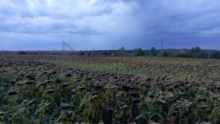 Teren de 4500 mp în Holboca, aproape de Cristești, la 3,5 EUR/mp - Poză 1