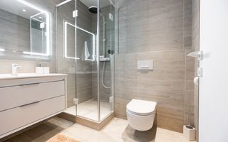 Chirie, apartament, 2 camere, str. București, Centru - Poză 12