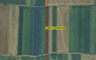 Teren Extravilan Nojorid - Poză 2