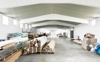 HALA INDUSTRIALA DE VANZARE | PECICA – ARAD - Poză 6