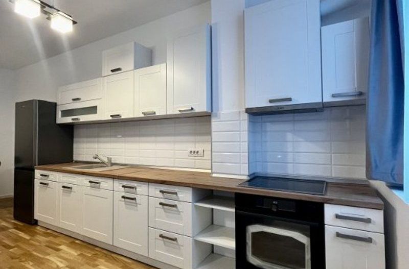 Apartament cu 2 camere de închiriat, la parter cu grădină, ISHO - Poză 4