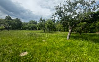 TEREN INTRAVILAN 4600 MP, VOINESTI, LERESTI, ARGEȘ - Poză 6
