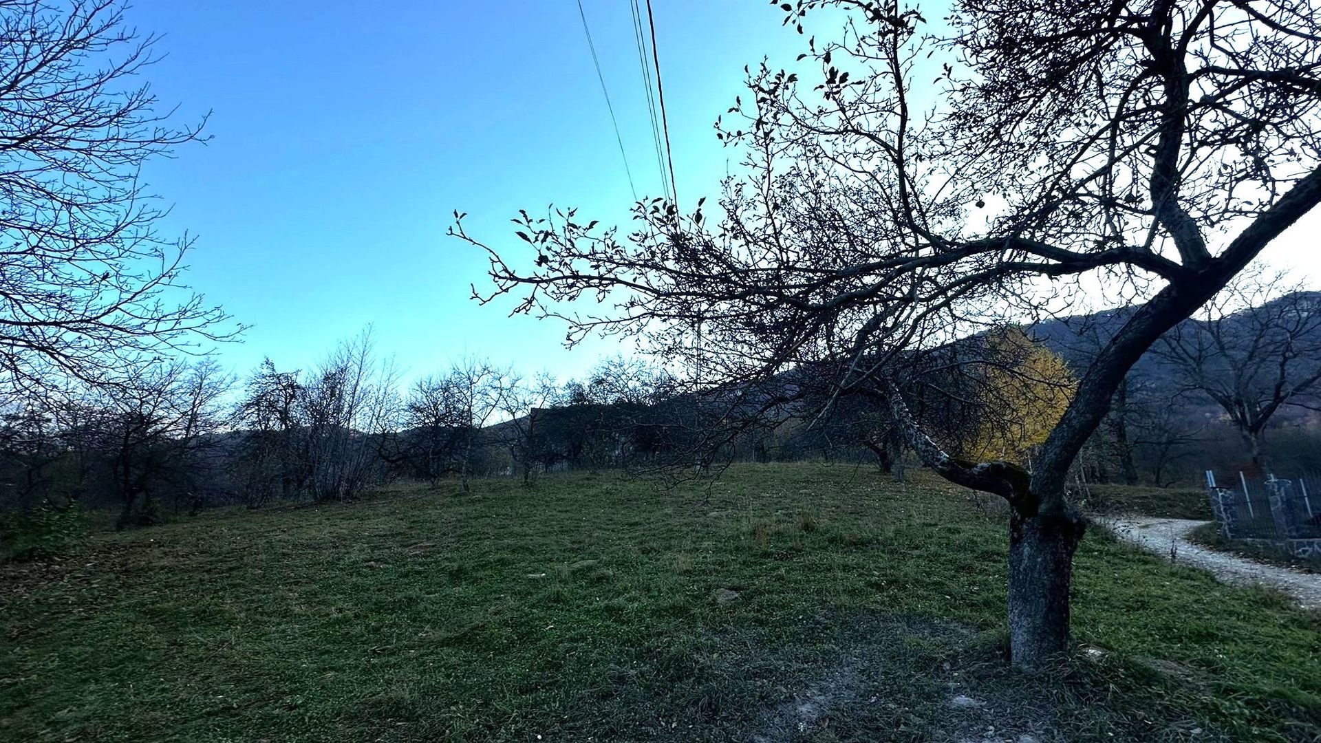 Teren Intravilan cu 2 Deschideri 4000mp Predelut-Bran | GOPO - Poză 1