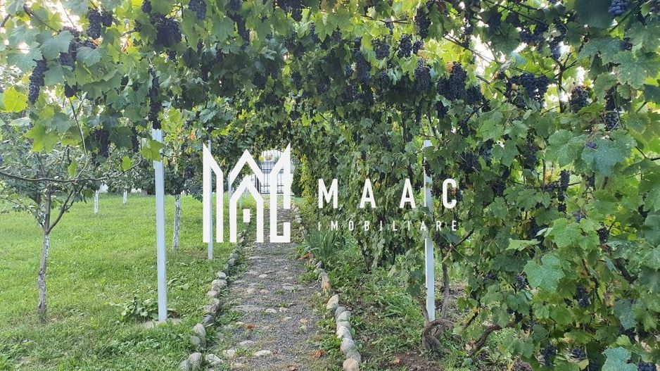 Teren Intravilan | 634 MP | Livada | Cisnadie - Poză 2