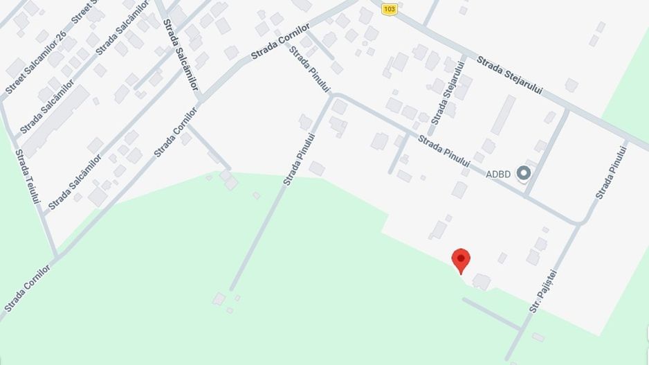 MAGURELE-VARTEJU, LOT 848 MP! - Poză 9
