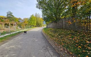 Teren intravilan 690 mp, utilități, lângă Spital Călinești - Poză 3