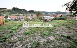 De vanzare 2 case cu 4.900 mp teren, Livezeni 0% comision - Poză 3