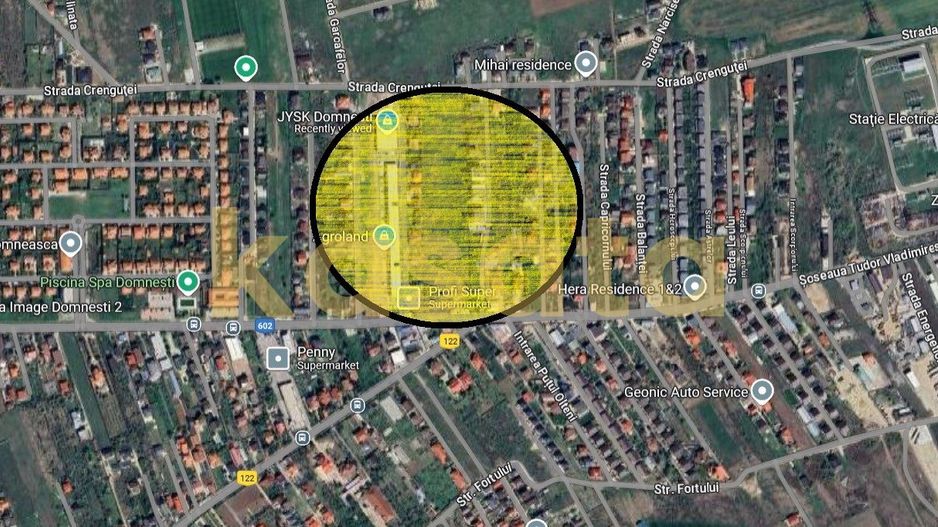 Teren de Vanzare 2.000Mp - Domnesti - Poză 3