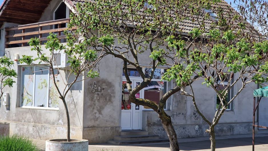 Spațiu comercial | DN69  | comuna Pesac | 50 km de Timișoara - Poză 3