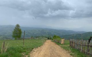 Teren extravilan 2ha, priveliste panoramica spre munti /Poiana Marului - Poză 2