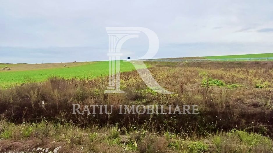 Teren Investiție | 25 €/mp | Acces Drum Metropolitan OSORHEI - Poză 4