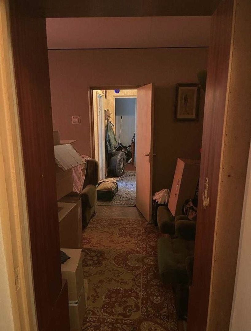 Ap 3 camere semi Dacia - Poză 2