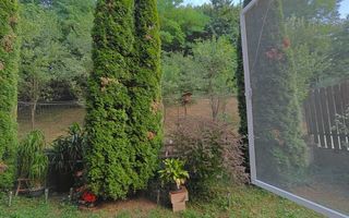 Apartament cu 3 camere și 2 parcări, curte comună, lângă pădure. - Poză 6