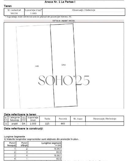 Teren intravilan Caciulati/Moara Vlasiei - Poză 3