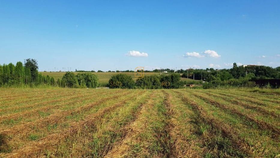Teren intravilan – Adunatii Copaceni | 3.399 mp | Ideal investitie - Poză 3