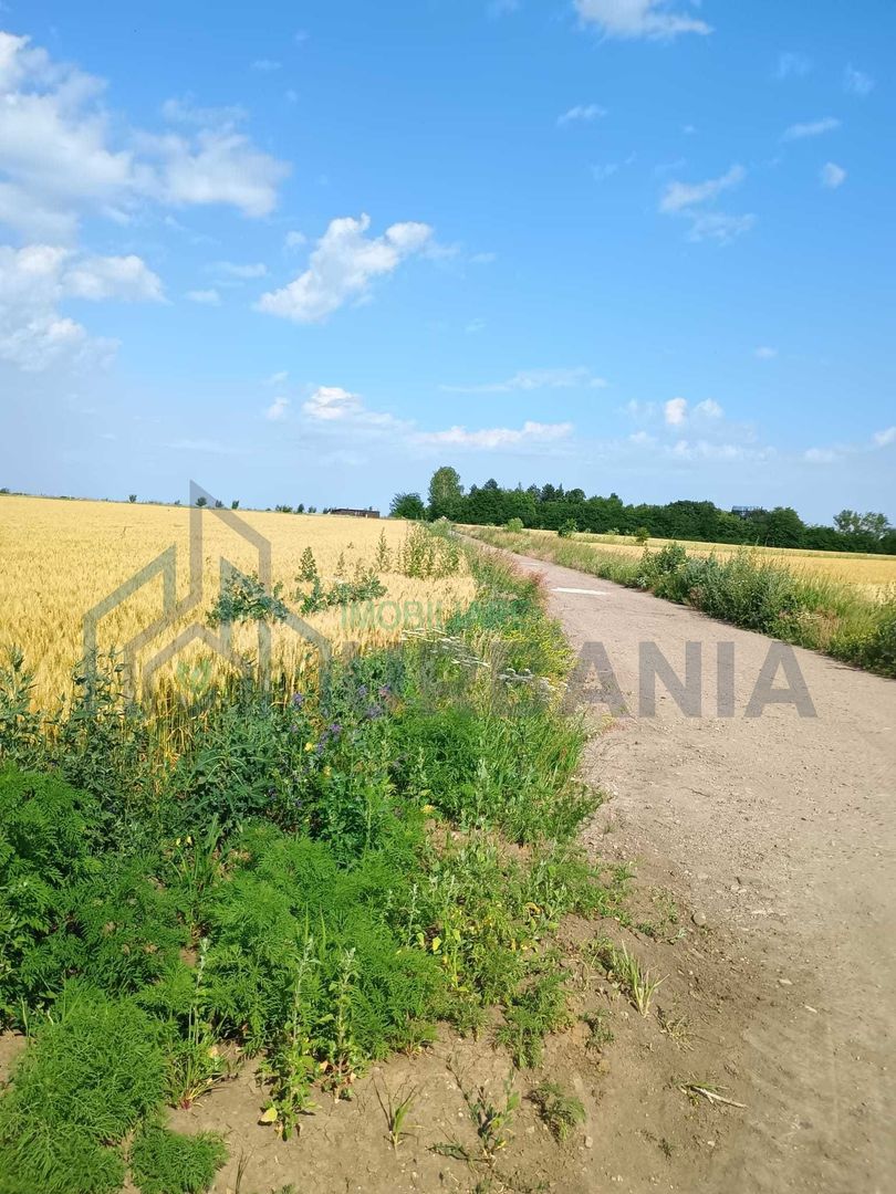 De vanzare teren extravilan valea ursului - Poză 4