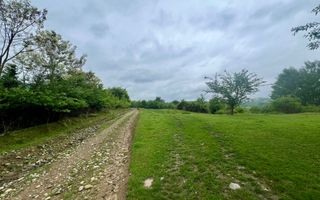 Teren 3507 mp/ Seaca/Calimanesti - Poză 3