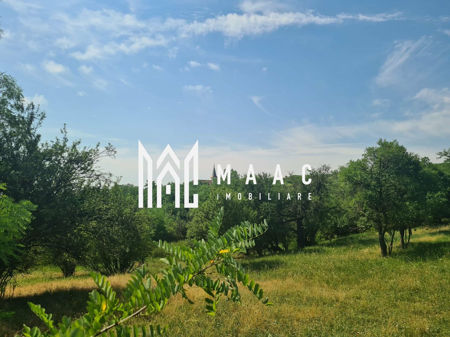 Teren | 12.922 MP | Loamneș - Poză 3