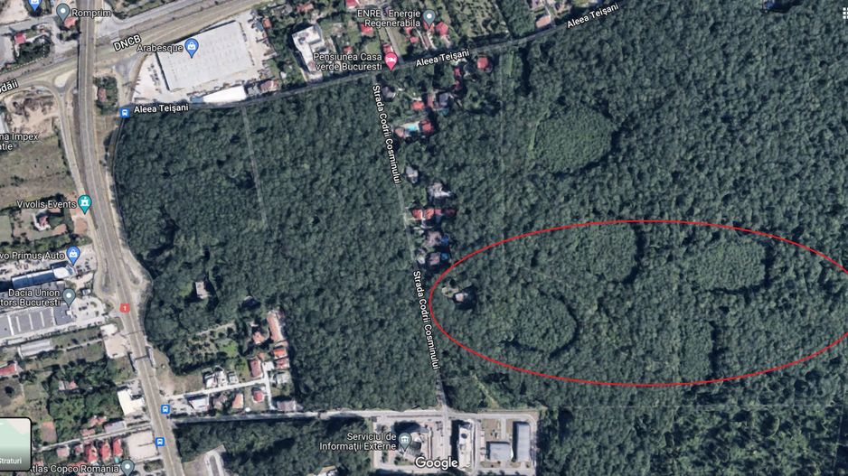 46644 mp teren in Padurea Baneasa proiect exclusivist - Poză 4