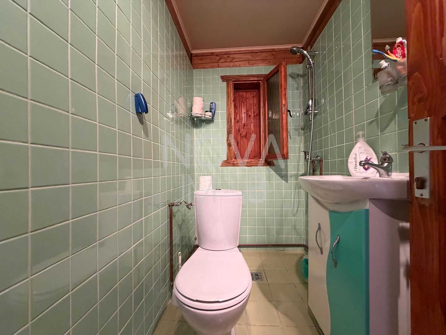 CASA DE VACANTA CU TEREN GENEROS, VALE – SALISTE - Poză 14