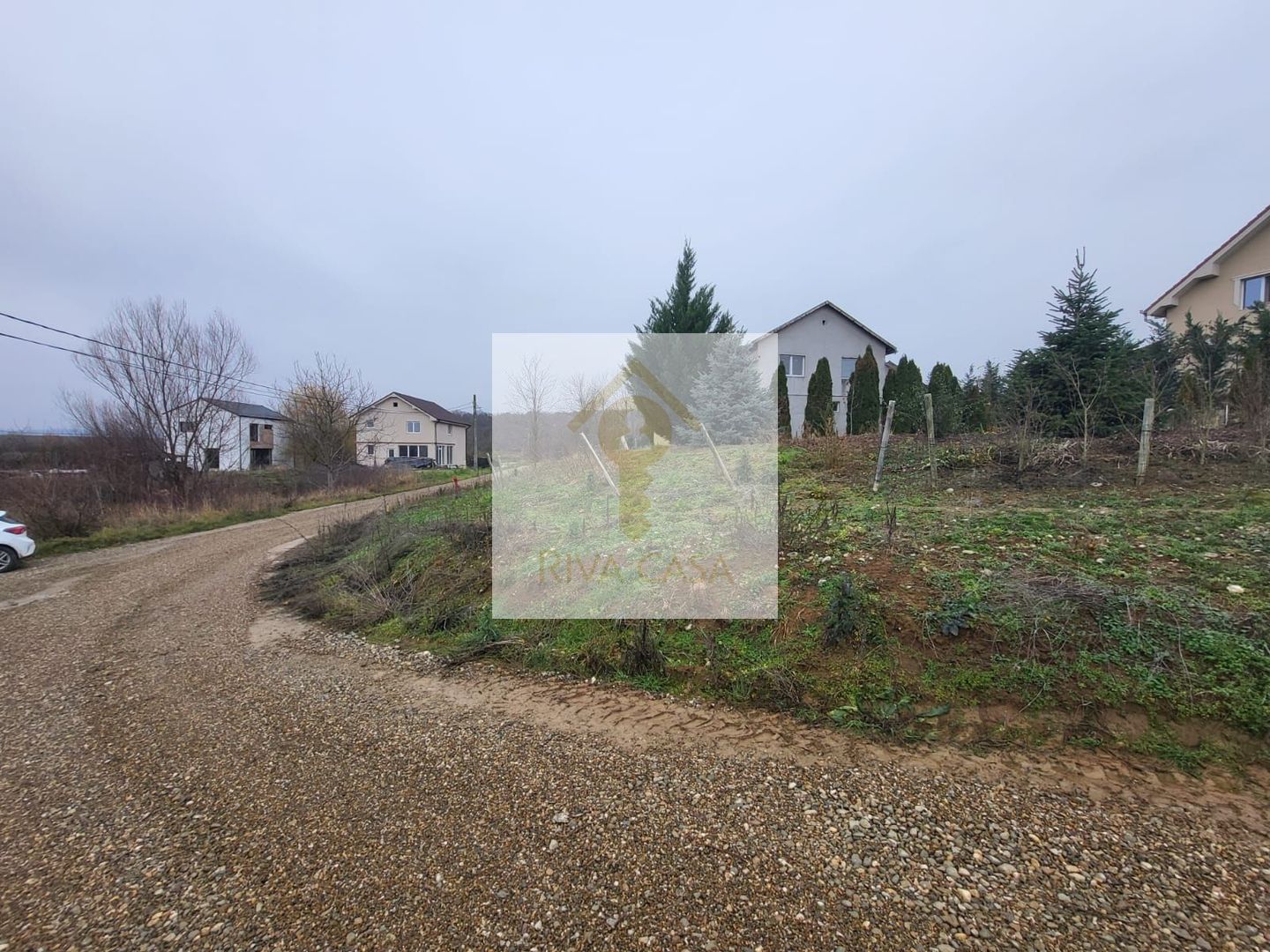 Teren extravilan Paleu - Poză 2