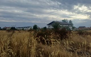 Teren Domnesti, strada Magnoliei - Poză 6