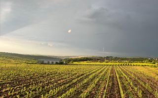 Casă modernă, 5 camere, vedere spre vii și oraș, grădină 640 mp, zona Barnova – Bucium - Poză 8