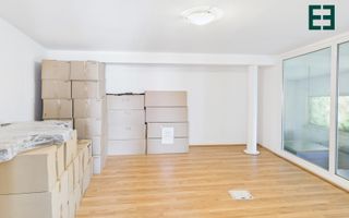 Hală Industrială / Comercială în zonă centrală - Timișoara - Poză 12