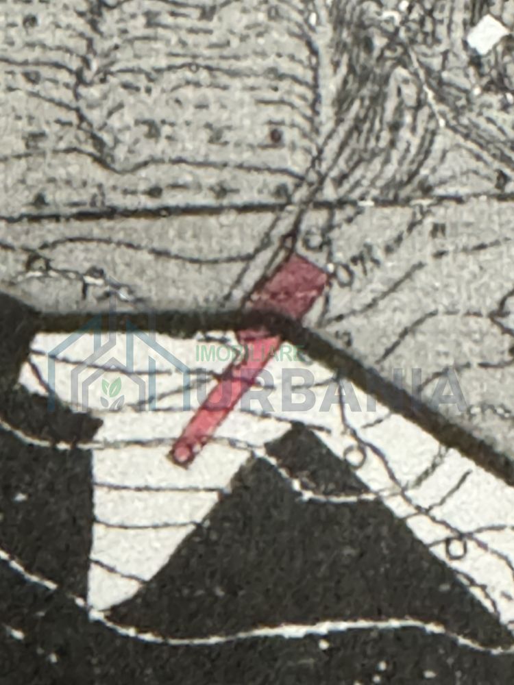 Teren intravilan Vladiceni - Tomesti, 1003 mp, cu acces la utilitati - Poză 2