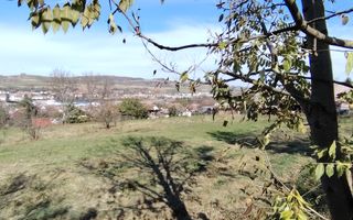 Teren intravilan 3.798 mp în Agnita, cu posibilitate de parcelare - Poză 4