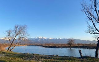 Teren de 7.500 mp de vânzare în Bradu, Avrig-COMISION 0% – lângă râul Olt. - Poză 2