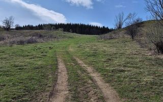 Teren intravilan la baza pădurii Valea Doftanei sat Traisteni (poduri) - Poză 12