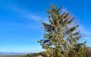 Cabana A-Frame de vânzare | Mărișel – view spectaculos - Poză 11