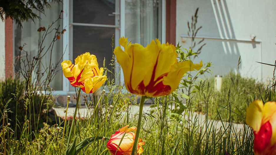 Exclusivitate - Sanpetru, casa cu priveliște deosebită - Poză 21