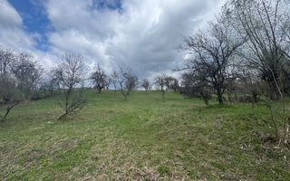 TEREN INTRAVILAN 4365 MP POENARII DE MUȘCEL  JUDEȚUL ARGES - Poză 9