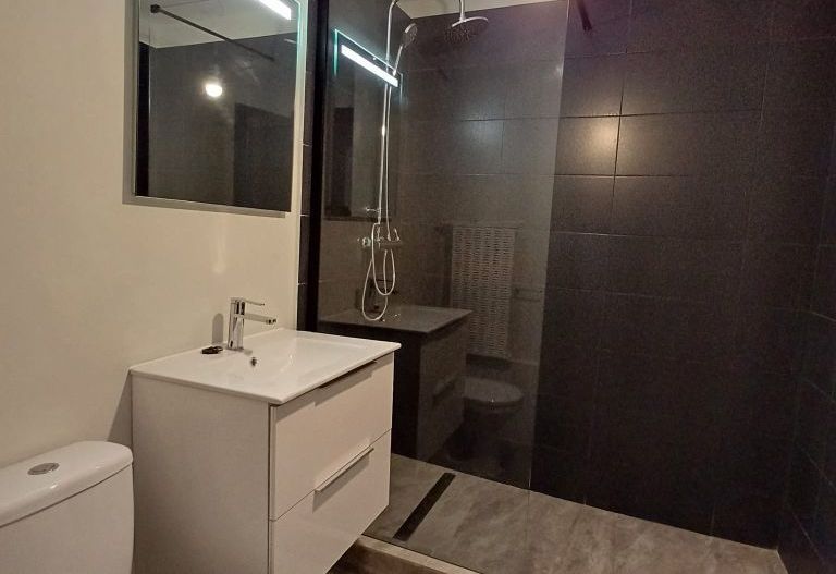 APARTAMENT RENOVAT | AVIATIEI - Poză 11