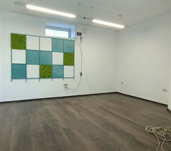 De inchiriat! Spatiu alimentatie publica, zona Horea. - Poză 14