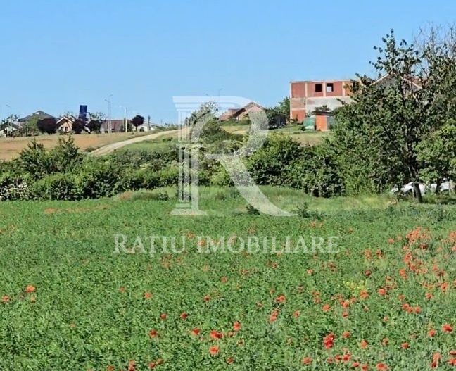 Teren Intravilan | 1780 mp | Sânmartin - Poză 6
