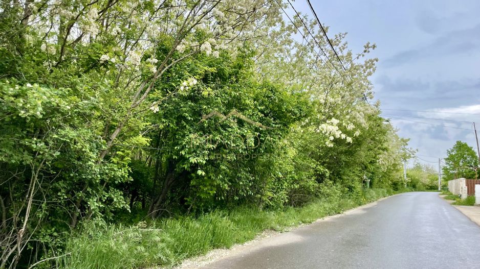 Vila  SMART_individuala _LUX***Padurile Regale//Corbeanca - Poză 13