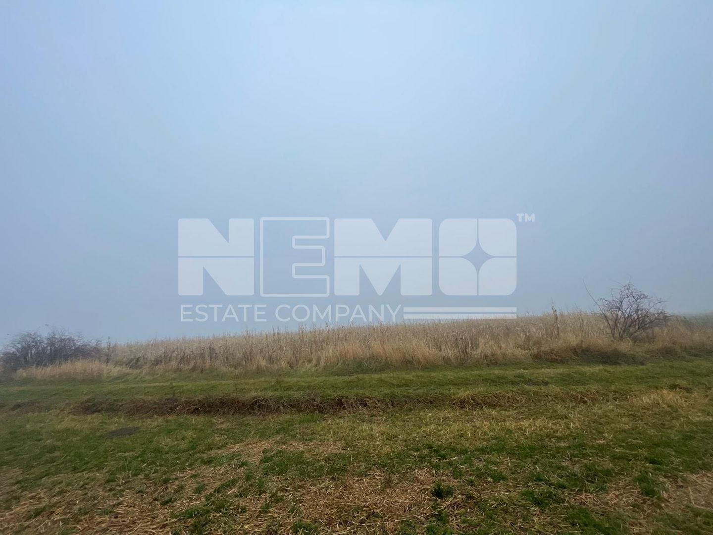 TEREN EXTRAVILAN | DOUA PARCELE 2.84 HA| IDEAL AGRICOL | DARMANESTI - Poză 3